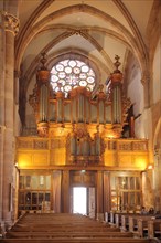 Organ of the Gothic church of St Thomas