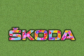 Logo car company Skoda