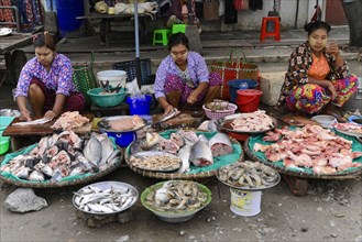 Local woman selling fish