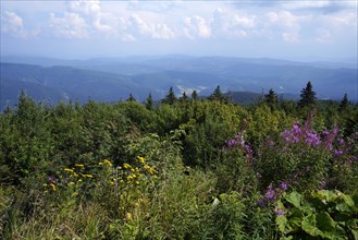 Moravian-Silesian Beskydy