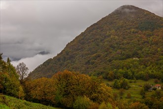 Mountain Peak with Autumn Forest in a Cloudy Day in Monte Bre