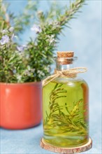 Glass bottle with rosemary essential oil next to a pitcher with fresh rosemary branches and blue background