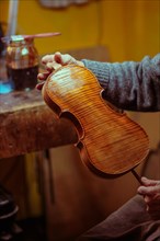 Senior expert violin maker luthier