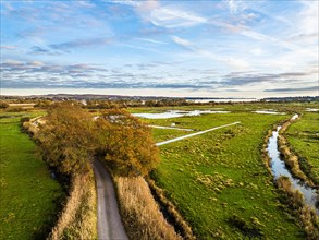 Wetlands and Marshes in RSPB Exminster and Powderham Marshe from a drone