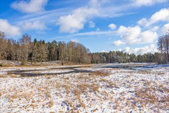 Restored wetland for wildlife at a forest in winter with snow