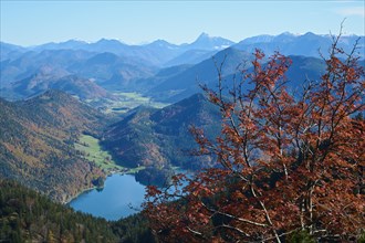 View from Herzogstand to Walchensee