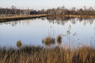 Moorland