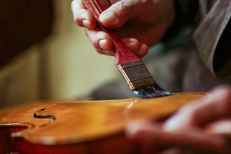 Senior expert violin maker luthier wrinkled hand hold brush