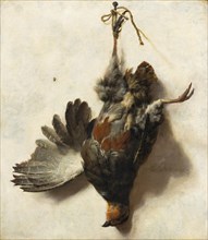 Dead partridge hanging on a nail