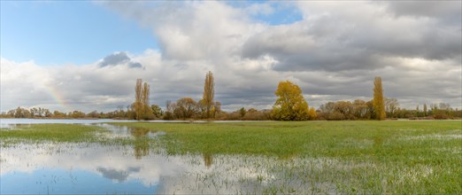 Flooded meadow after heavy rains. Autumn landscape. Bas-Rhin