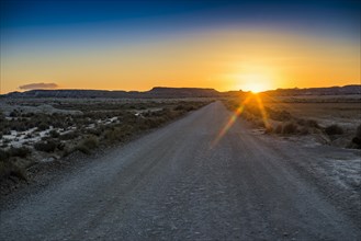 Road in the semi-desert