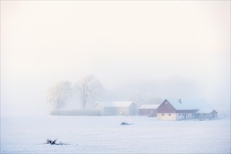 Farm in the countryside by a field a cold foggy winter