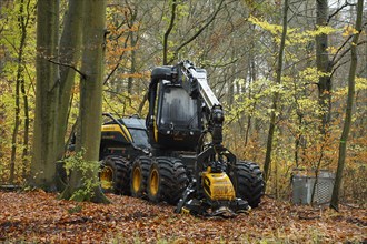 A forestry harvester parked in a deciduous forest. Germany