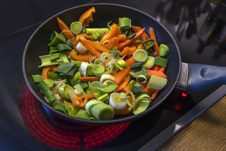 Fresh vegetables in a pan on a red-hot hob