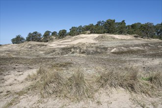 Inland dunes