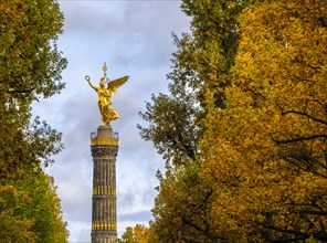 Victory Column framed by autumnal trees