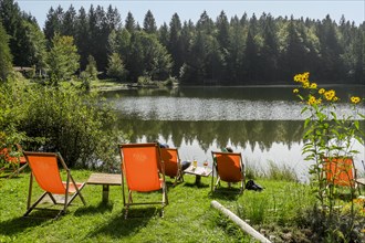 Deckchairs in a meadow at the Pflegersee