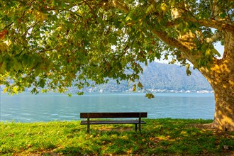 Empty and Beautiful Bench Under a Tree with Mountain and Lake Lugano View in a Sunny Day in Lugano