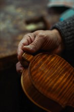 Senior expert violin maker luthier