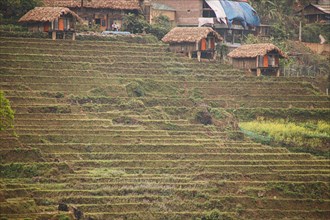 Native traditional Hmong house in the rice terraces showing the authentic indigenous culture and daily life in Lao Chai Village