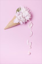 Abstract floral ice cream cone with petals
