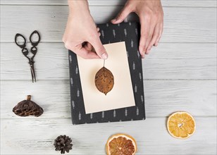 Elevated view hand making greeting card with dried leaf pinecone citrus slice lotus pod table