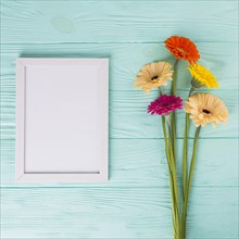 Gerbera flowers with blank frame table
