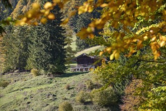 Alpine hut on the Hirschberg in autumn