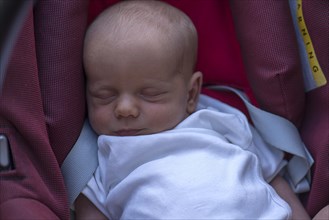 Baby in baby carrier