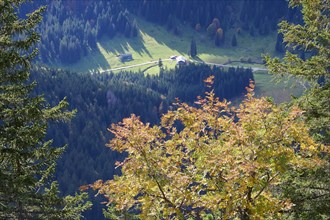 View from the Hirschberg to the Schwarzentennalm in autumn