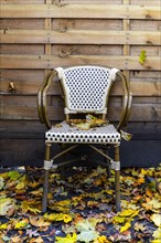 Abandoned garden chair amidst the autumn leaves