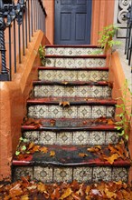 Old staircase with tiles and foliage