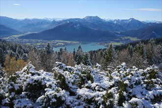 View from Neureuth to Tegernsee and Hirschberg in winter