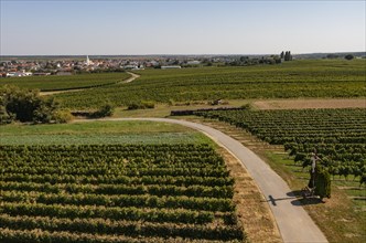 Drone view of Deutschkreutz with vineyards and Marton cross