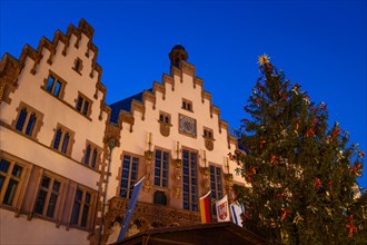The Christmas market on Frankfurt's Roemerberg is set up and Sonny the Christmas tree is already decorated. The Frankfurt Christmas Market will open on 27 November 2023