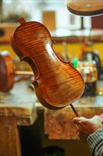 Senior expert violin maker luthier varnish with brush classic handmade violin paint natural ingredient recipe in Cremona Italy home of best artisan of this kind