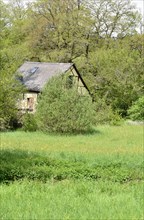 Extensively used meadows and historic mill in the valley of the Nahe tributary Kyrbach near Oberkirn in the Hunsrueck in summer