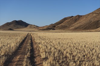 Driving track through the Namib Desert with Tirasberge
