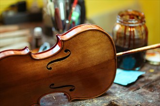Senior expert violin maker luthier varnish with brush classic handmade violin paint natural ingredient recipe in Cremona Italy home of best artisan of this kind