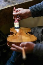 Senior expert violin maker luthier