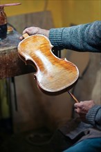 Senior expert violin maker luthier