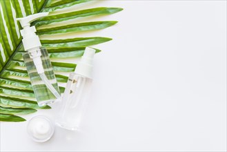 Two transparent cosmetic bottle with spray head moisturizer green leaf against whit e background