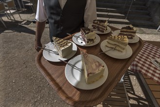 Waitress brings various pieces of cake on a tray to the guests