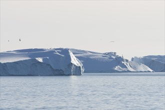 Icebergs in the UNESCO World Heritage Ilulissat Icefjord in the evening sun. Ilulissat
