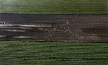 Drone view of green and ploughed fields with tyre tracks