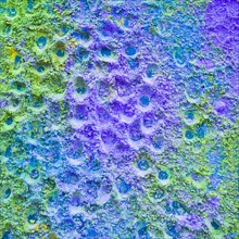Close up purple green holi color powder backdrop