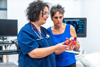 Female cardiologist providing explanations to a patient using a model of a human heart