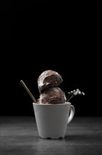 Cup with chocolate ice cream scoops