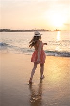 Rear view of a woman walking on the seashore during sunset