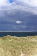 Barren dune landscape